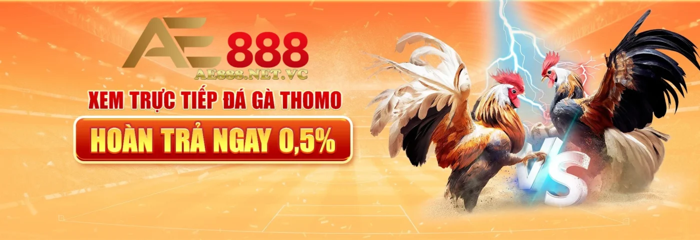 banner ae888