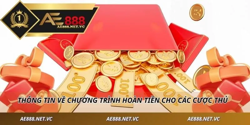 Thông tin về chương trình hoàn tiền cho các cược thủ
