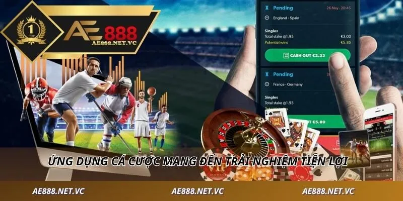 Ứng dụng cá cược mang đến trải nghiệm tiện lợi