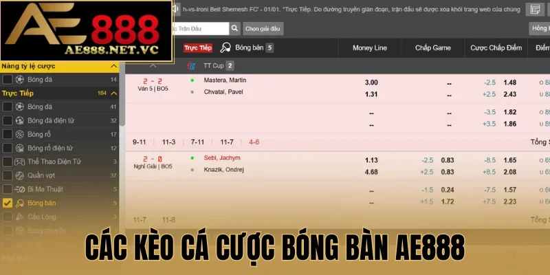 Các kèo cá cược bóng bàn AE888