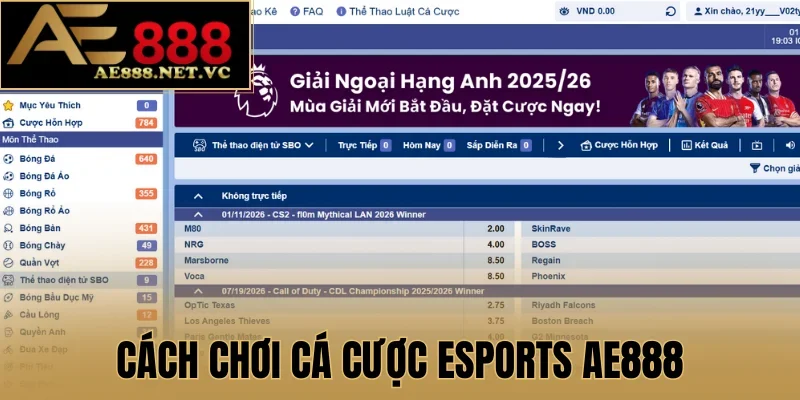 Cách chơi cá cược esports AE888