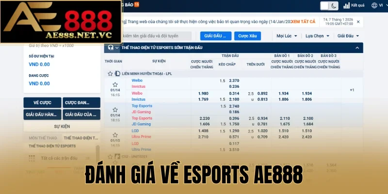 Đánh giá về esports AE888