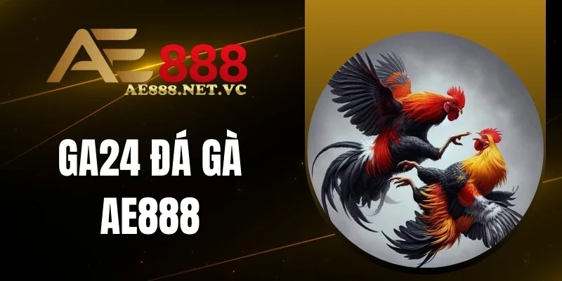 Hội viên đánh giá cao về GA24 đá gà AE888