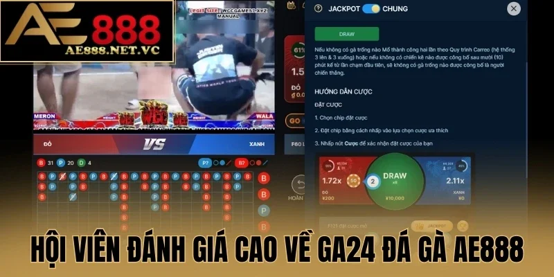 Hội viên đánh giá cao về GA24 đá gà AE888