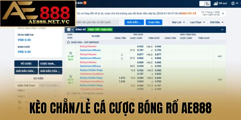 Kèo chẵn/lẻ cá cược bóng rổ AE888