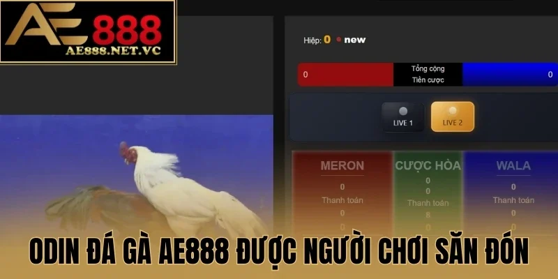 Khái quát về ODIN đá gà AE888