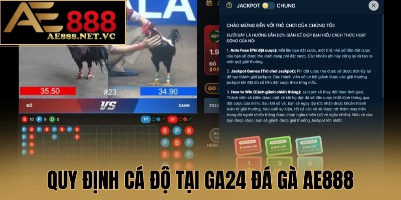Quy định cá độ tại GA24 đá gà AE888