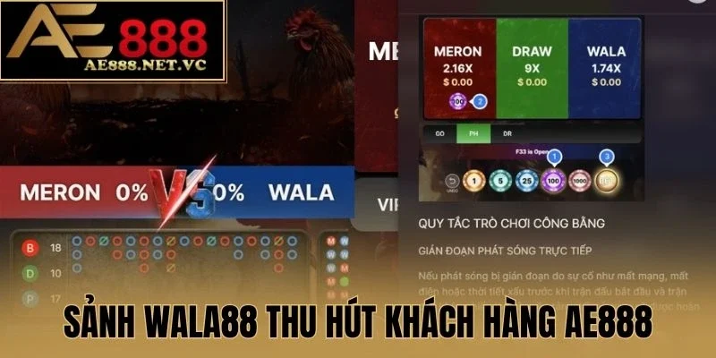 Sảnh Wala88 không khiến người chơi thất vọng