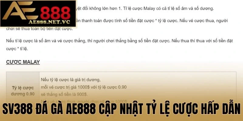 SV388 Đá Gà cập nhật tỷ lệ cược hấp dẫn