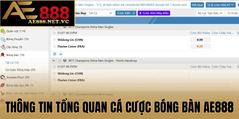 Thông tin tổng quan cá cược bóng bàn AE888