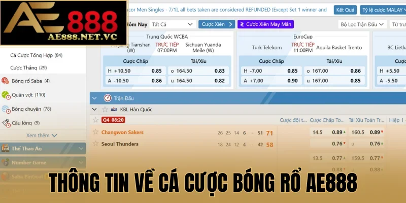 Thông tin về cá cược bóng rổ AE888 