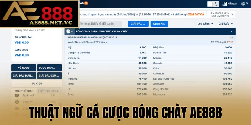 Thuật ngữ cá cược bóng chày AE888