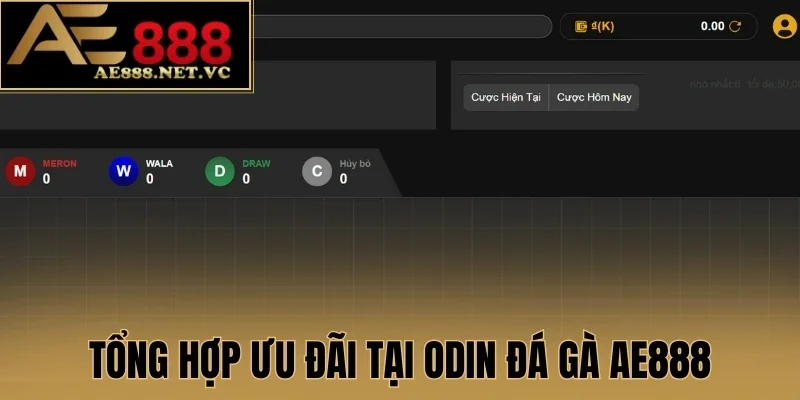 Tổng hợp ưu đãi tại ODIN đá gà AE888