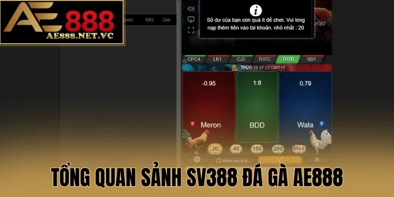 Tổng quan sảnh SV388 Đá Gà